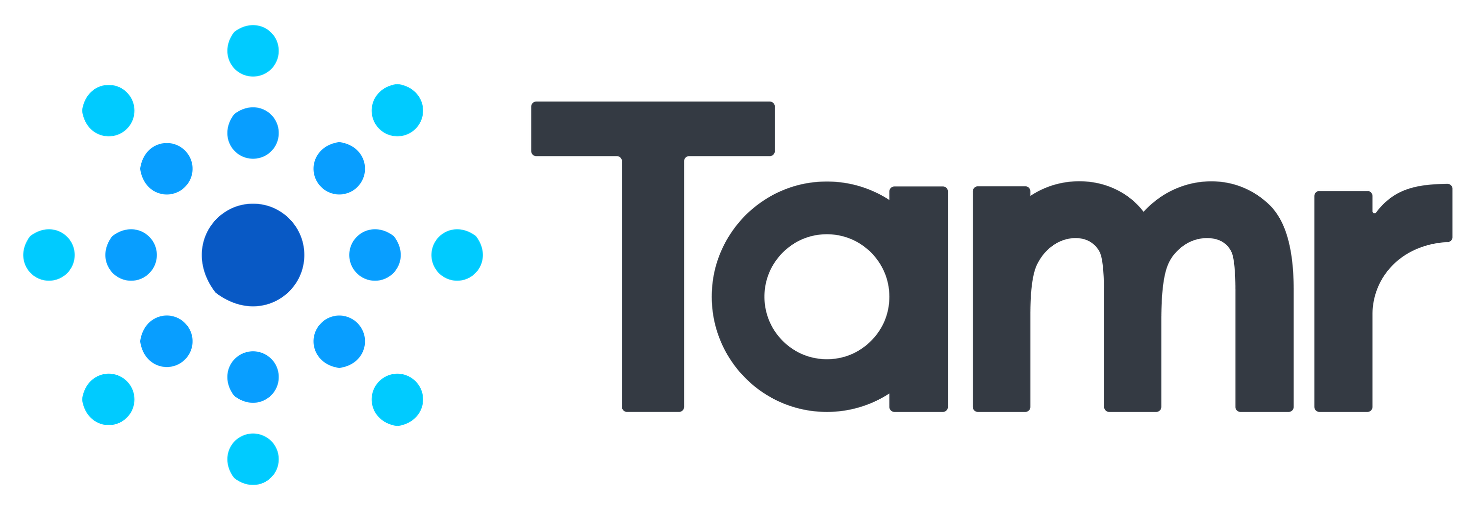 Tamr - BitBang